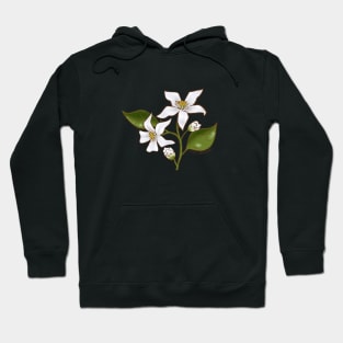 Orange Blossom Hoodie